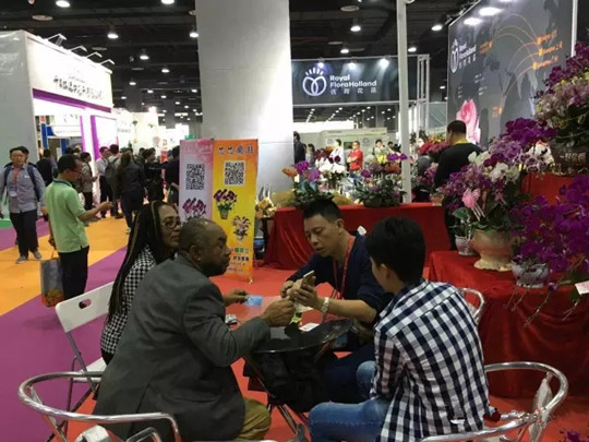 花卉展2.jpg