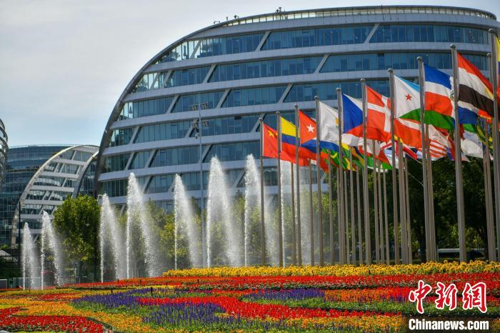 第五屆進博會場館景觀裝飾全面定妝。　陳夢澤 攝